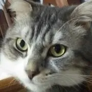 びきの画像