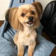 らいちゃん