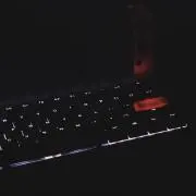 わしおの画像