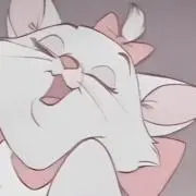 さー