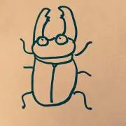 ヒメオオクワガタの画像