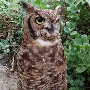 たか  ☆プロフ必読☆
