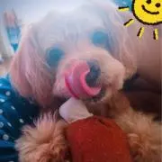 アン♡（╹◡╹）