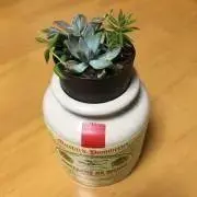 marsmamaの画像