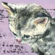 しおりの画像