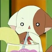 せなの画像