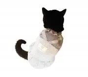 CUTE CATの画像