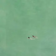 rkhhhhhSの画像