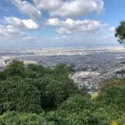 TERUの画像