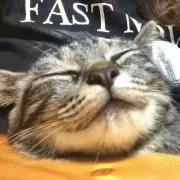 りよこ♪プロフィール必読!!