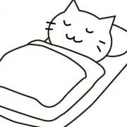 ねっこの画像