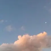 咲穂