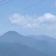 ひつじの画像