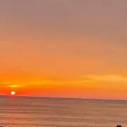 波太郎の画像