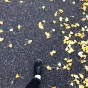 まるの画像