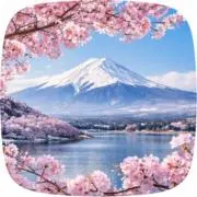 FUJIYAMA2017の画像