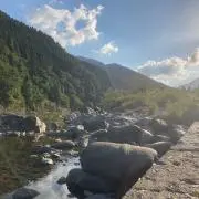 デデンネの画像