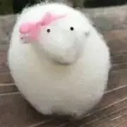 mokemokeの画像