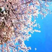 ちなこ☆