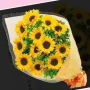 ひまわり