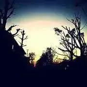 かや＊°。の画像