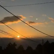 ナスナスの画像