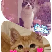 ★あゆ★即購入大歓迎でございます(^^)