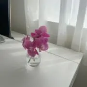 juriの画像