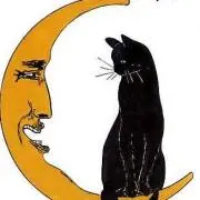 ココアの画像