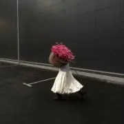 ひなたの画像