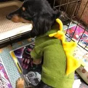 このみん