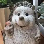 さっち