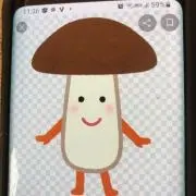きのこの画像
