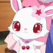 わんの画像