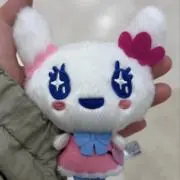 まつの画像