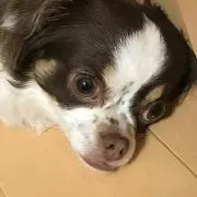 はるくん