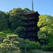 あんとんの画像