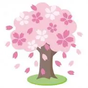さくらの画像