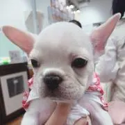 えみりの画像