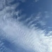 ようの画像