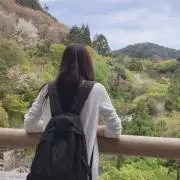 no.24の画像