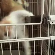 酒クズの画像