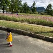 みーママの画像
