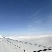 はなの画像