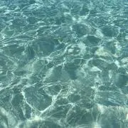 ❤︎の画像