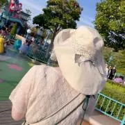 あやちゃん / 即日発送の画像