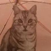 machaの画像