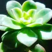 yuiko《プロフ一読願》の画像
