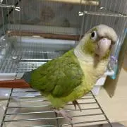 ゆん吉【プロフ必ず見て下さい】
