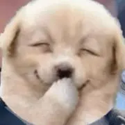 レキの画像